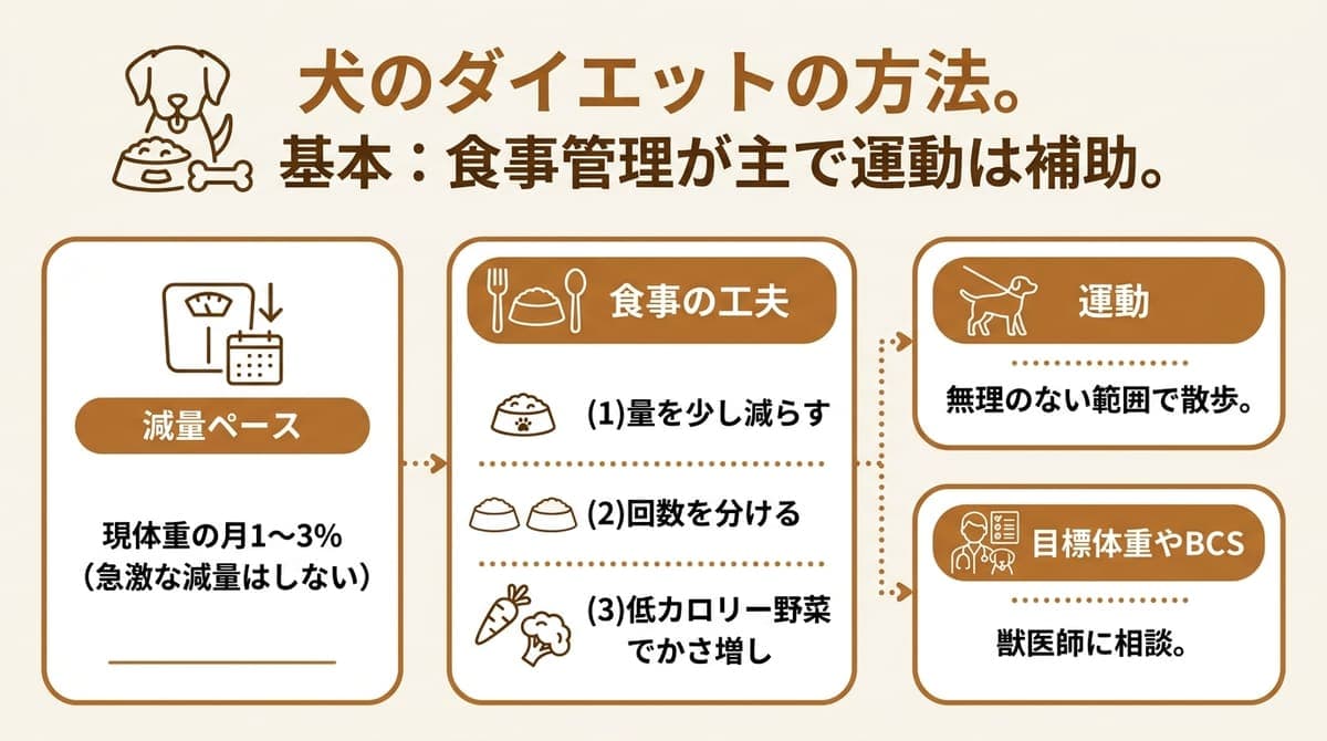 犬のダイエットの要点(食事管理・運動・減量ペース)をまとめた図解