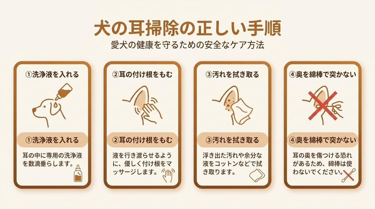 犬の耳掃除の正しい手順(洗浄液を入れる・耳の付け根をもむ・汚れを拭き取る・奥を綿棒で突かない)をまとめたカード型の図解
