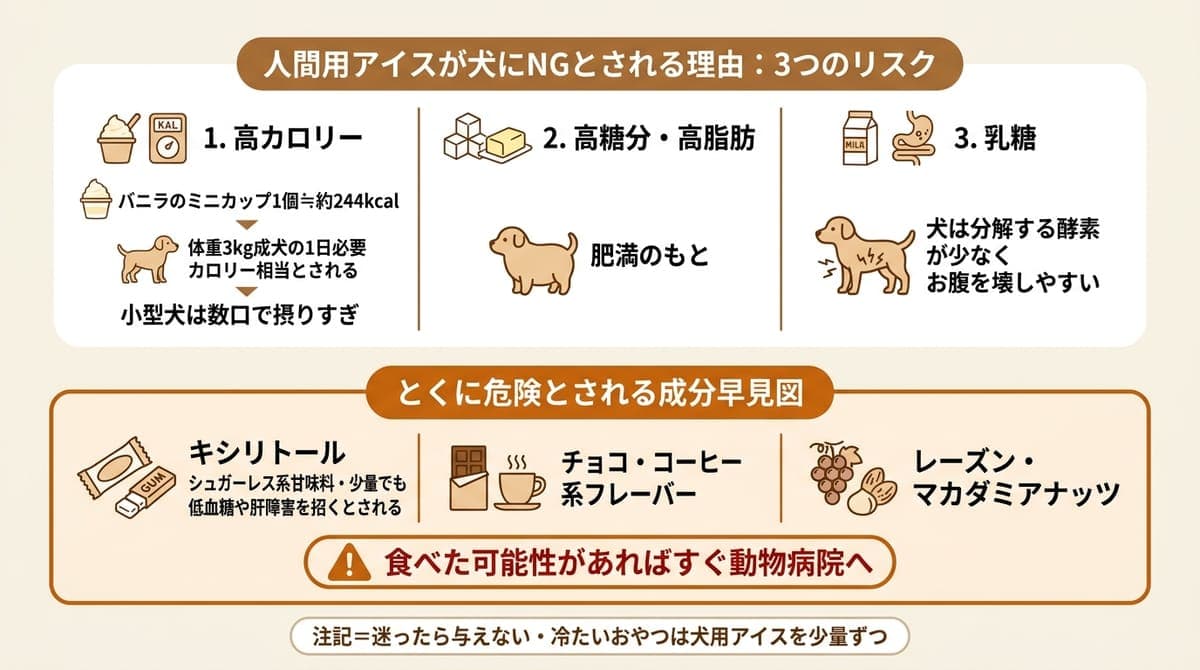 人間用アイスが犬にNGとされる理由と、とくに危険とされる成分をまとめた図解