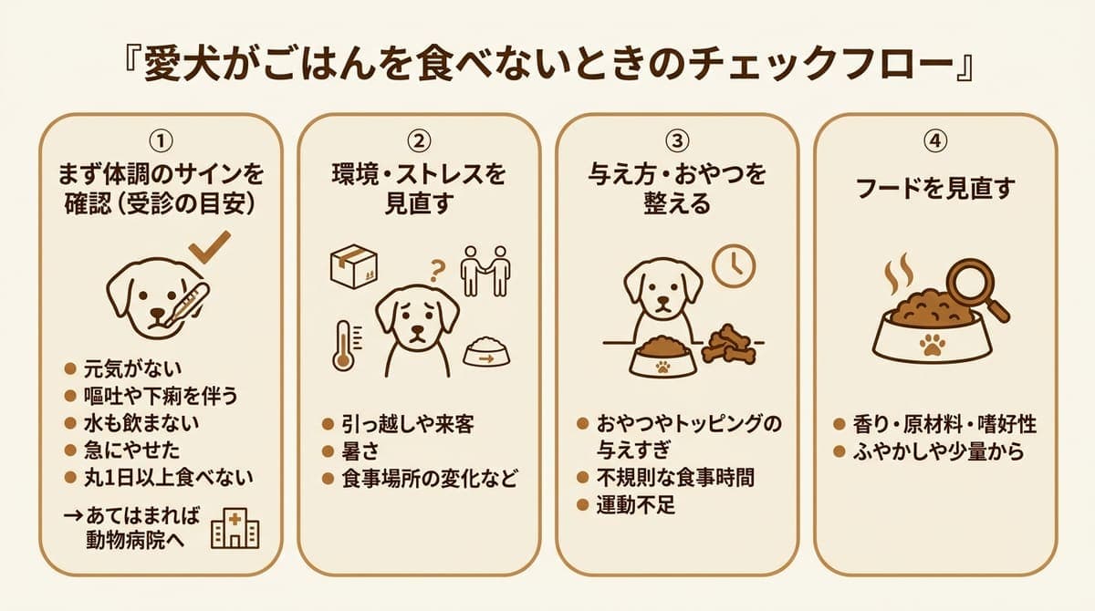 愛犬がごはんを食べないときのチェックフロー(①体調のサインと受診の目安②環境・ストレス③与え方・おやつ④フードの見直し)をまとめたカード型の図解