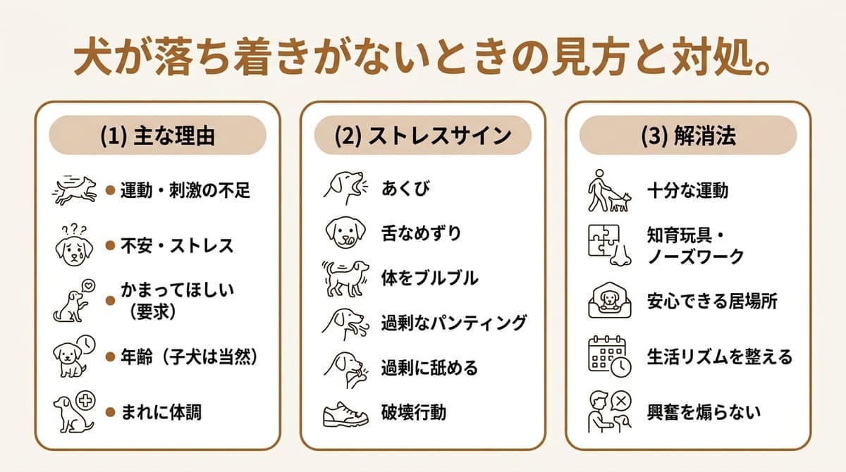 犬の落ち着きがない主な理由・代表的なストレスサイン・落ち着かせる方法の要点を整理したカード型の図解
