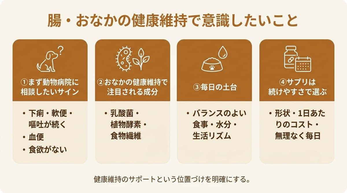 腸・おなかの健康維持で意識したいこと(まず動物病院に相談したいサイン・注目される成分・毎日の食事や水分と生活リズム・続けやすさで選ぶ)をまとめたカード型の図解