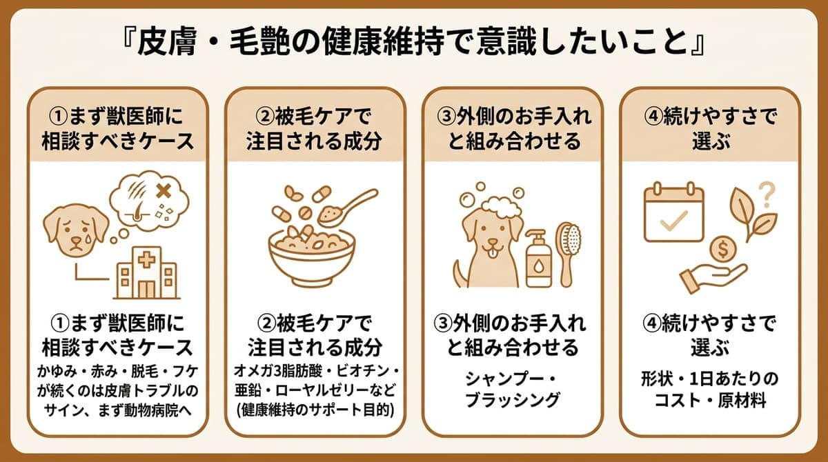 犬の皮膚・毛艶の健康維持で意識したい4つのこと(まず獣医師に相談すべきケース・注目される成分・外側のお手入れとの組み合わせ・続けやすさ)をまとめたカード型の図解