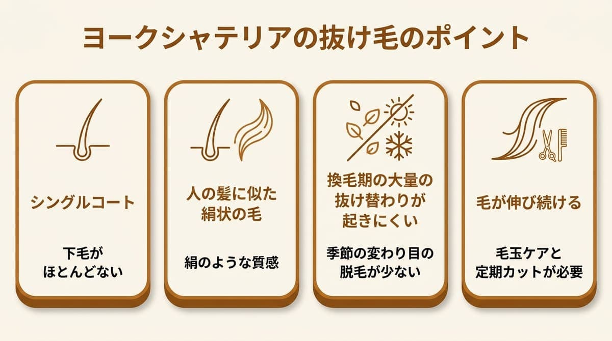 ヨークシャテリアの抜け毛のポイント(シングルコート・人の髪に似た絹状の毛・換毛期の大量抜けが起きにくい・毛玉ケアとカットが必要)をまとめたカード型の図解