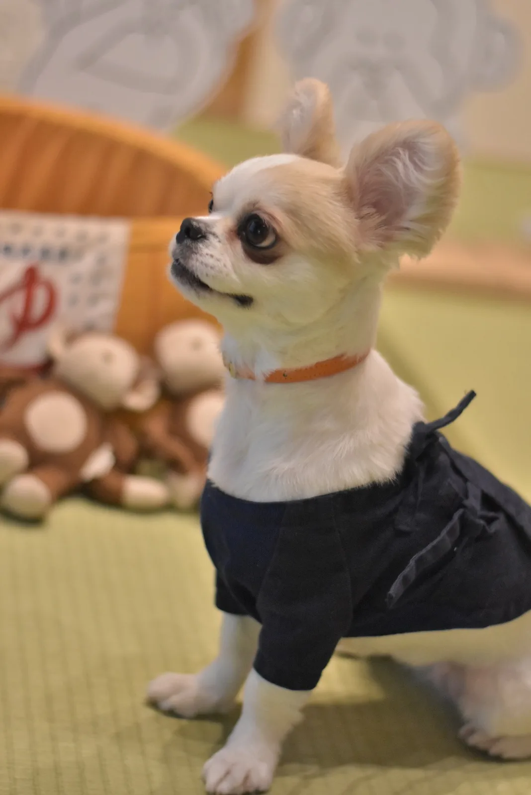 その他のカットスタイル