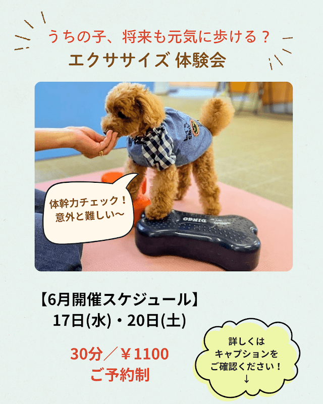 POPDOG宝塚店の写真