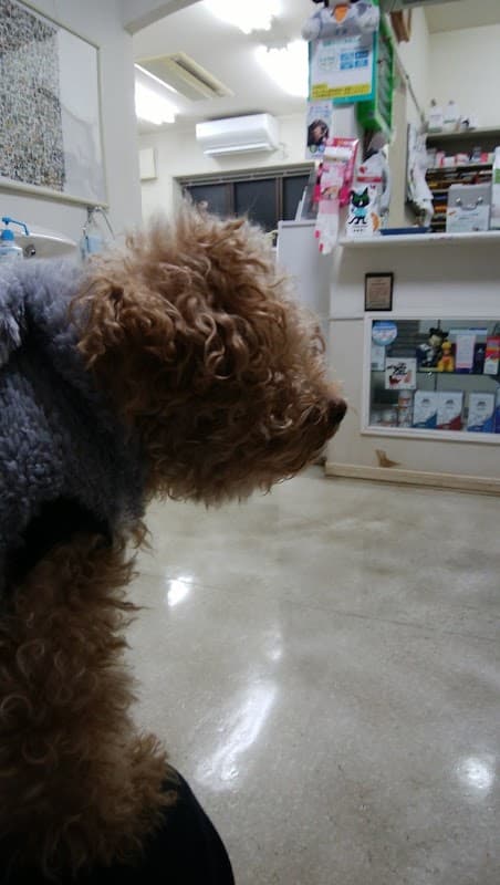 有田動物病院の写真