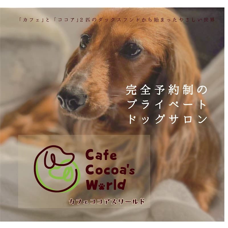 ドッグサロン cafe cocoa's world (カフェココアズワールド)の写真
