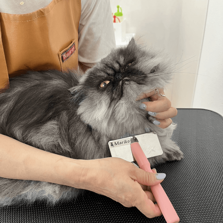 Cat Salon 猫風呂の写真2