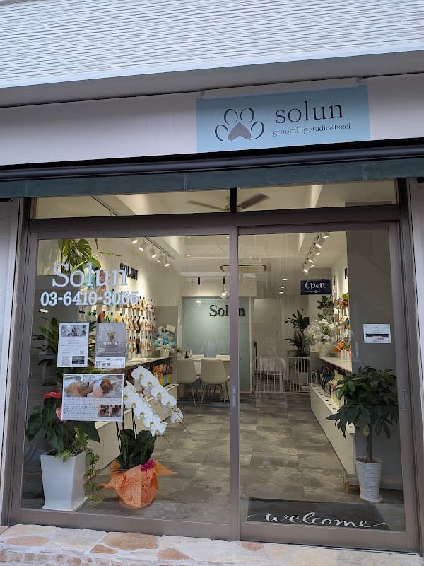 トリミングサロンsolun grooming studio&hotel ソルン グルーミング スタジオ&ホテル トリミング ペット 大田区の写真1