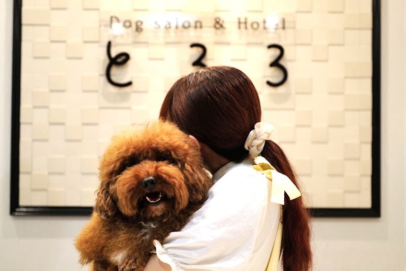 Dogsalon&Hotelとろろの写真