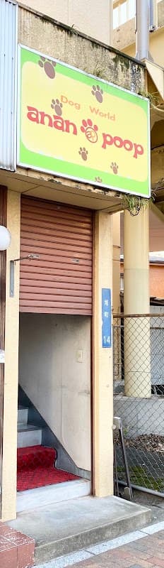 アンアンプープの写真
