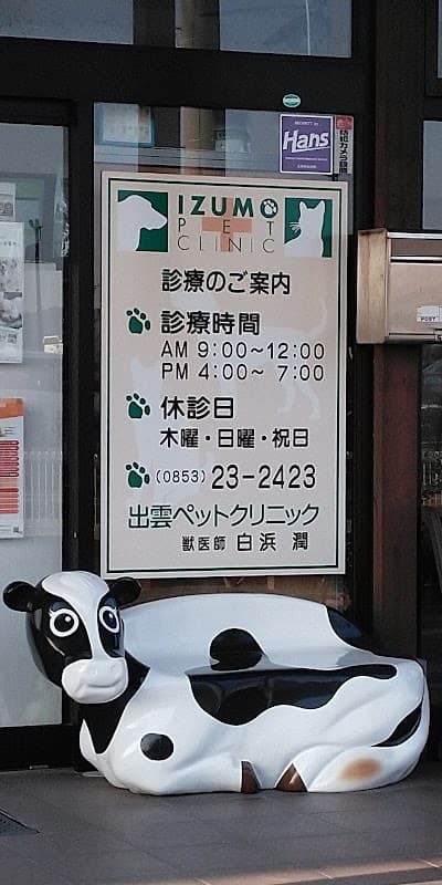 出雲ペットクリニックの写真