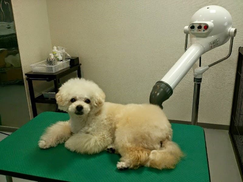 Grand~spa for dogの写真3