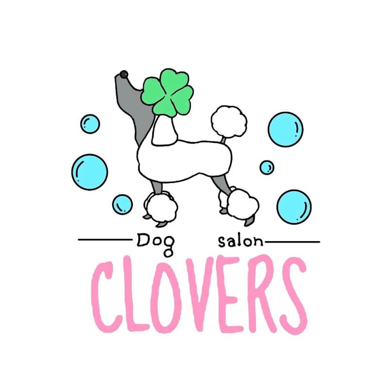 Dog salon CLOVERSの写真