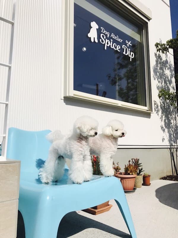 Dog Atelier Spice Dipの写真