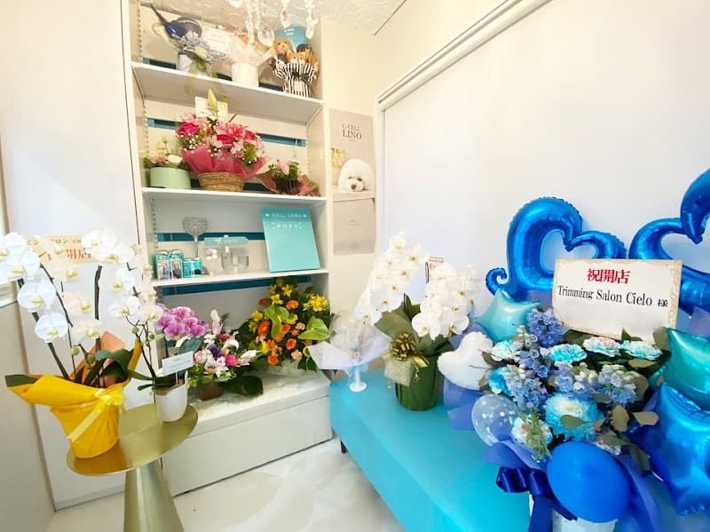 trimmingsalon cieloの写真