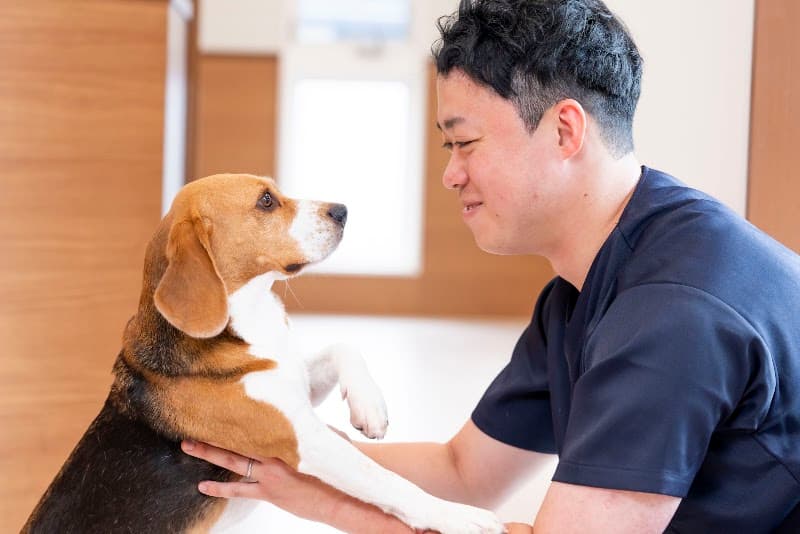仙台ライフ動物病院の写真