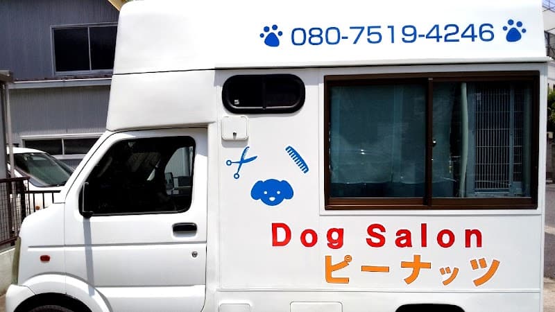 Dog Salon ピーナッツの写真