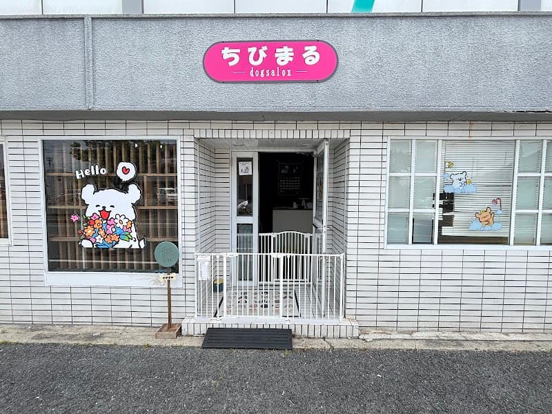 dogsalon ちびまるの写真