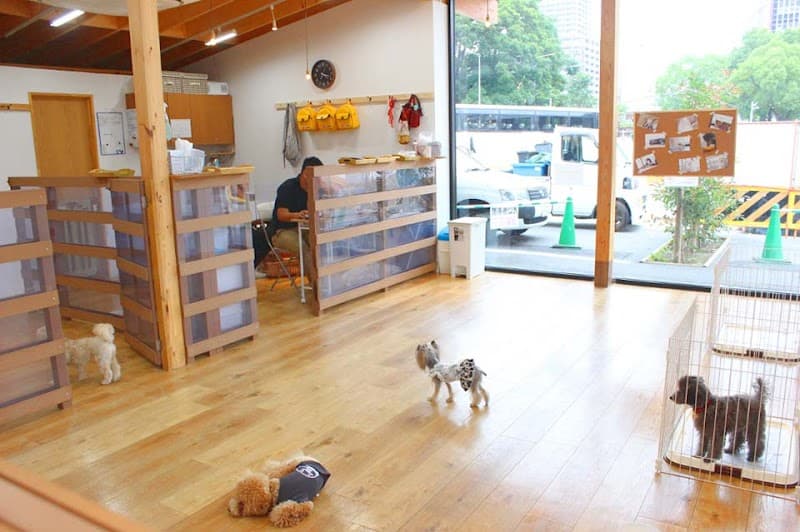 GRASS DOG&CAT てんしば店の写真
