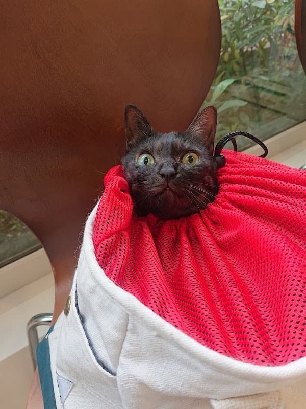 さくらペットクリニックの写真2