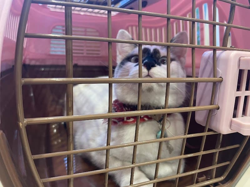 さくらペットクリニックの写真3