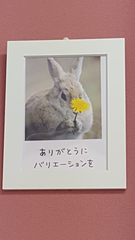 さくらペットクリニックの写真4