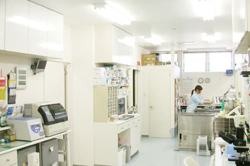 本間どうぶつ病院の写真