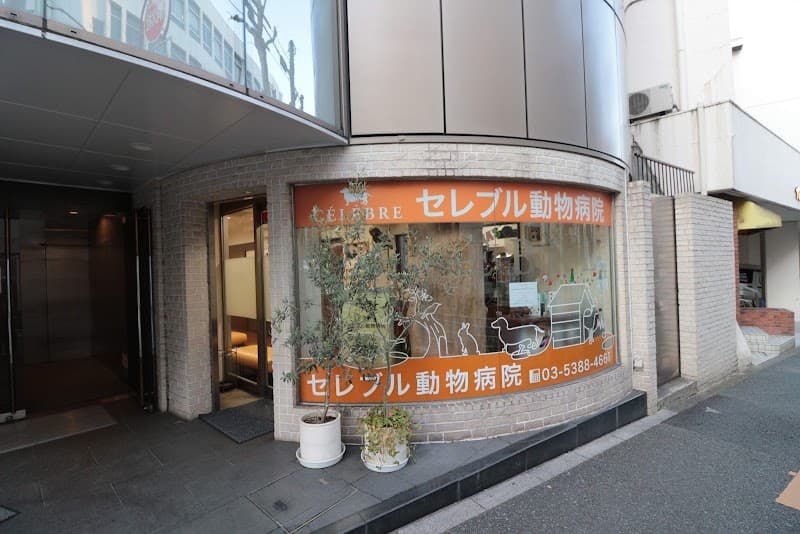 セレブル動物病院の写真