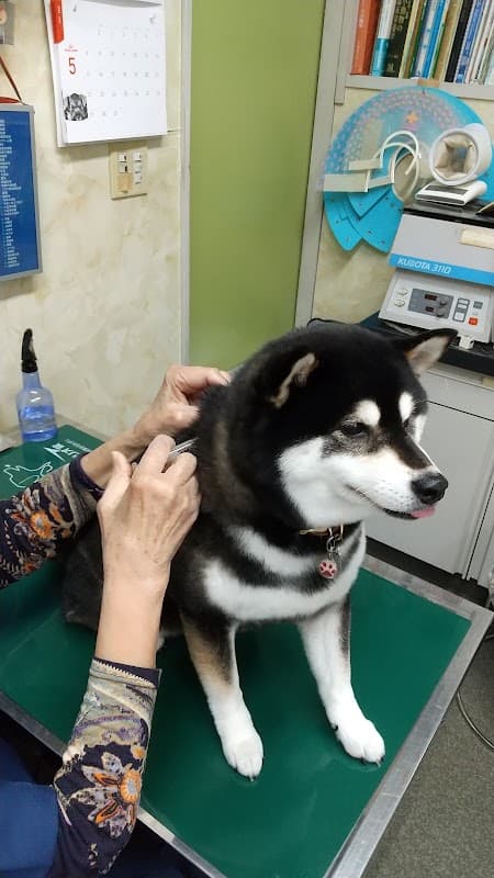 有馬動物病院の写真