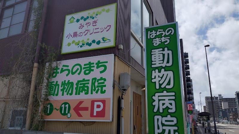 みやぎ小鳥のクリニックの写真