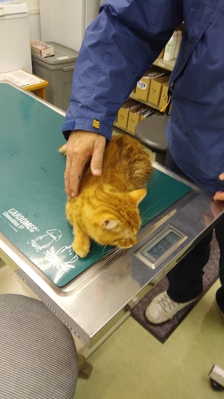 ひろた動物病院の写真