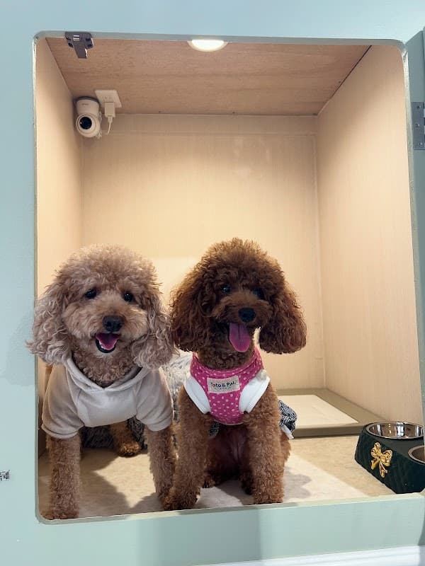 PET'S MOST 月島店の写真