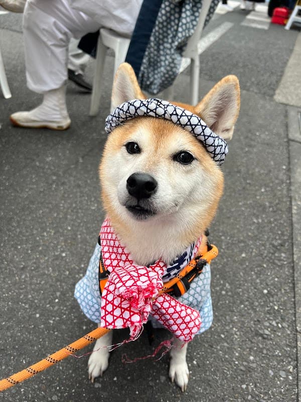 ペットサロンToutouの写真4