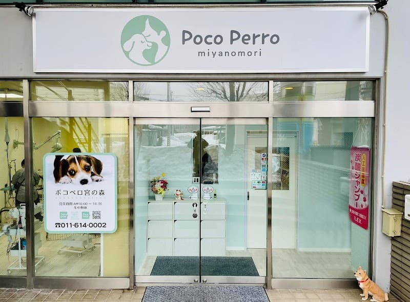 ペットサロン POCO PERRO(ポコペロ)宮の森の写真