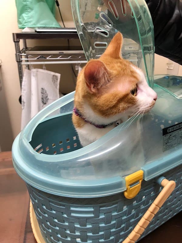 あい総合動物病院の写真