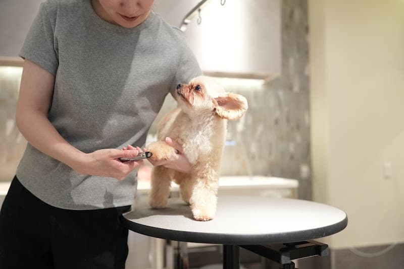 Furden Pet Salon(ファーデン ペットサロン)の写真1