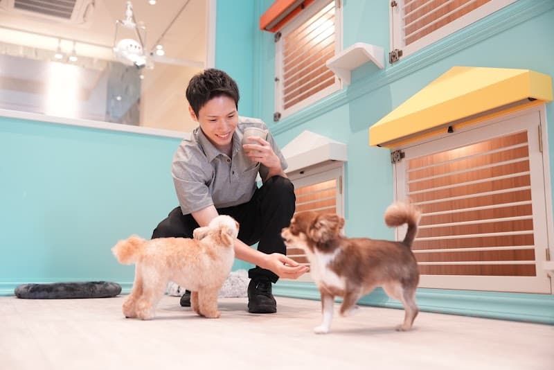 Furden Pet Salon(ファーデン ペットサロン)の写真3