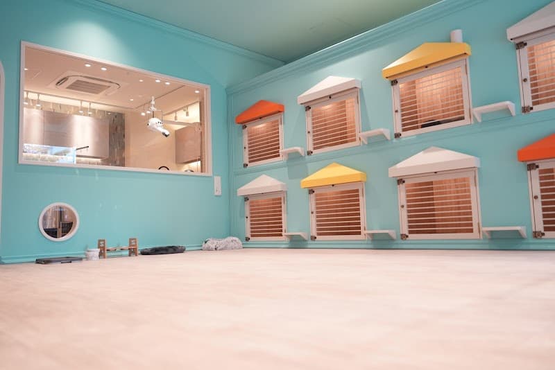 Furden Pet Salon(ファーデン ペットサロン)の写真4