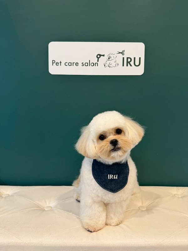 Pet care salon IRUの写真1