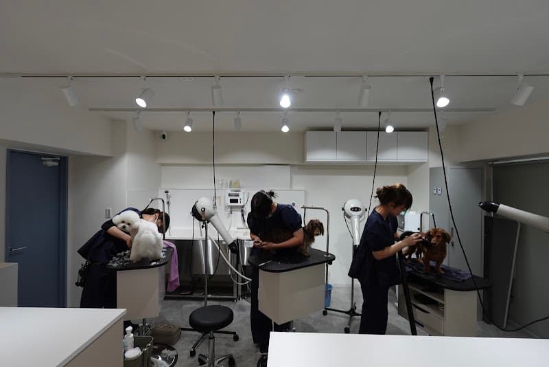 Pet care salon IRUの写真4