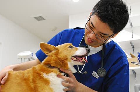 エルフペットクリニックの写真