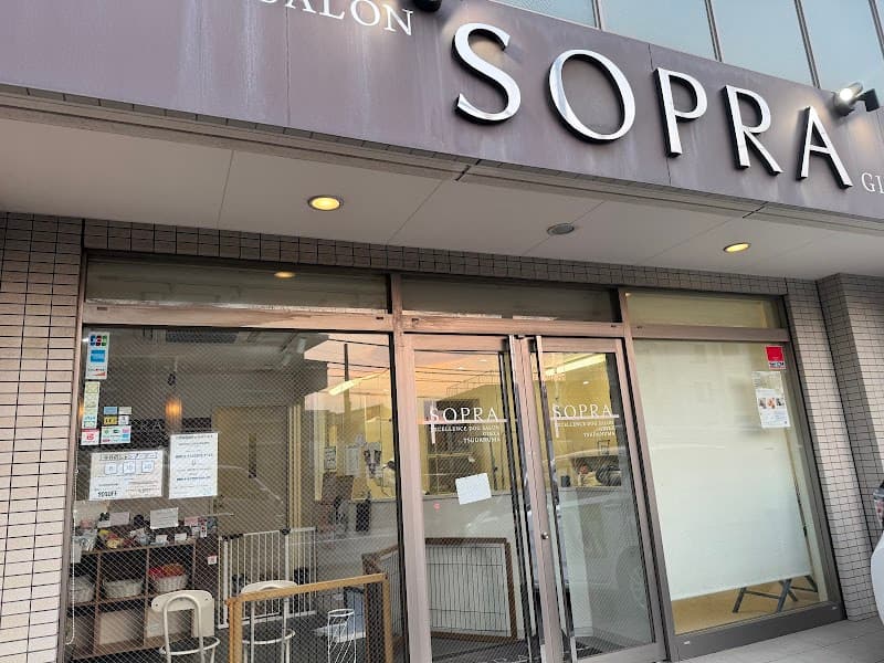 トリミング&ペットホテル SOPRA(ソプラ)津田沼店の写真