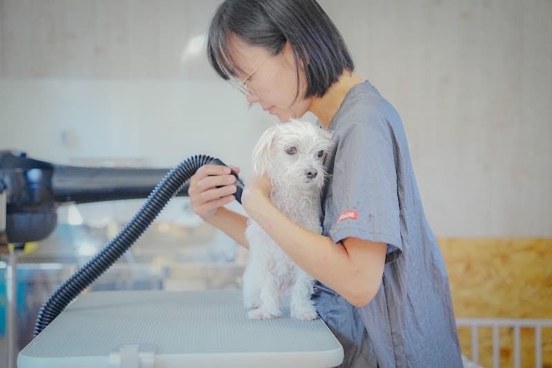 dog salon ナナイロの写真1