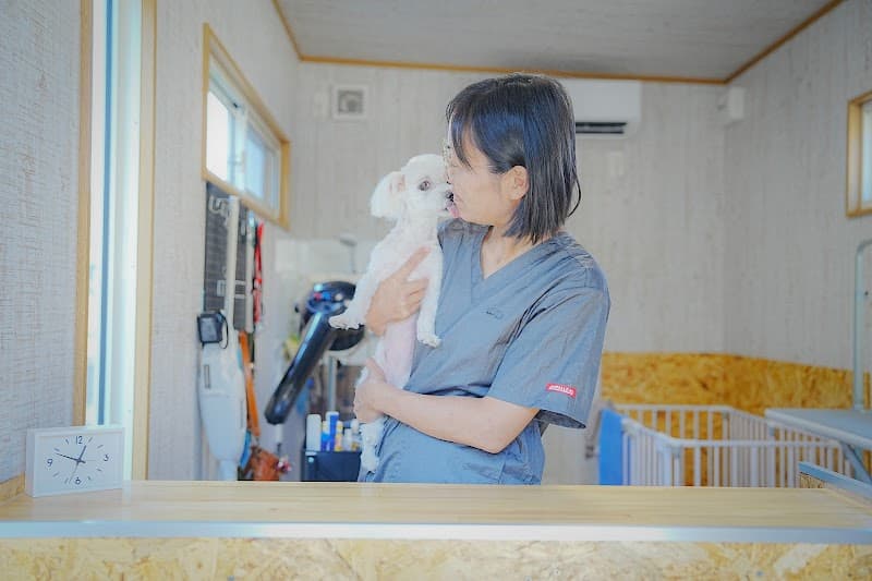 dog salon ナナイロの写真5