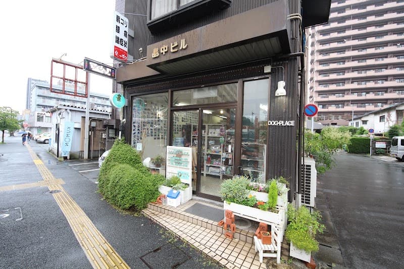 DOG−PLACEの写真