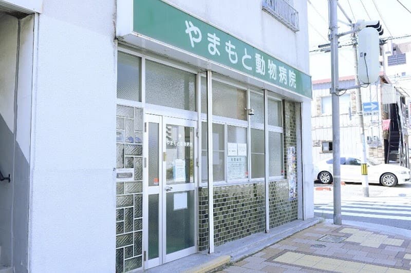 キャラメル動物病院の写真