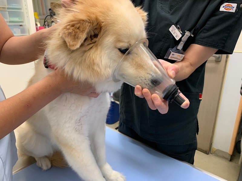 ウェル動物病院の写真
