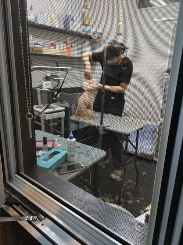 DogRoomKUROKUROの写真
